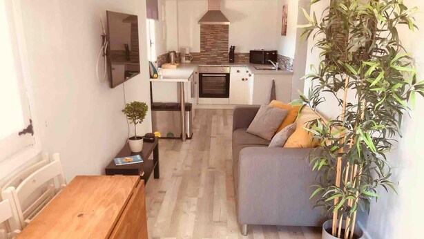 A compact living space with a kitchenette, a grey sofa, a wooden table, and a large potted plant. - Lovely 2 Bed Apartment in Alcalali (Alcalali)