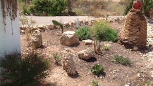 House | Property grounds - Traditional Spanish Cave House in Alguena (Los Montesinos)