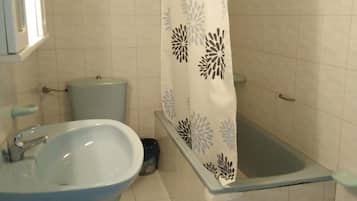 Combined shower/bathtub, deep-soaking bathtub, hair dryer, towels
