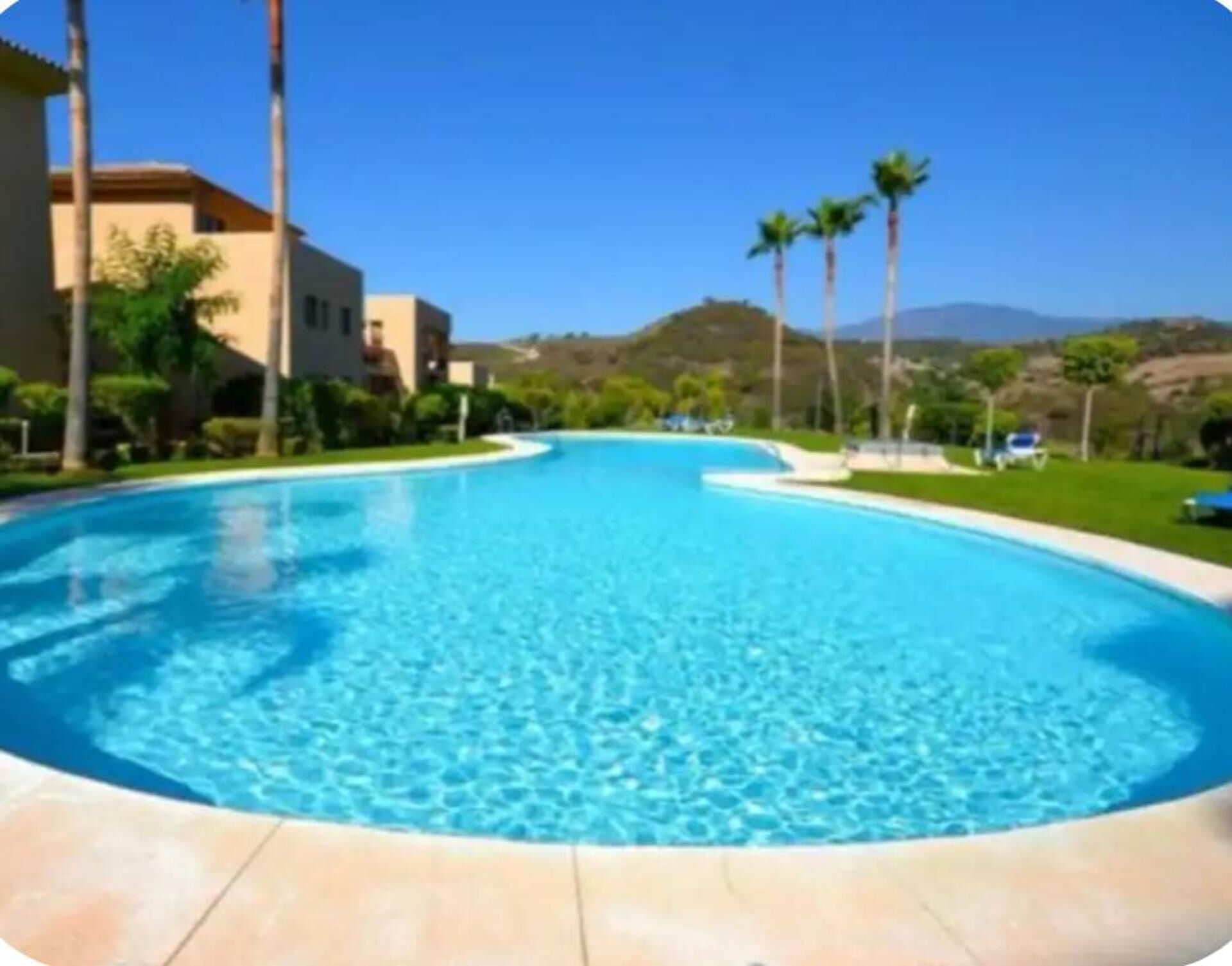A clear blue swimming pool surrounded by a well-maintained lawn, palm trees, and a mountain in the background.