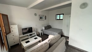 Ein gemütlicher Raum mit Bett, Fernseher, Schlafsofa, kleinem Tisch und Kleiderschrank.