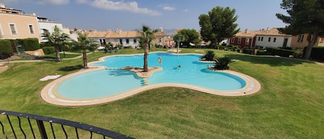 A swimming pool with a wavy edge, surrounded by well-maintained grass and palm trees.