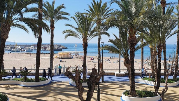 Une plage bordée de palmiers, avec vue sur la mer.