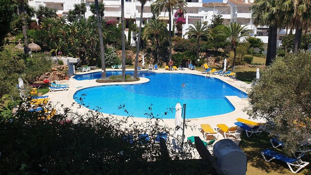 A large, curved swimming pool surrounded by palm trees and lounge chairs, with a view of white buildings in the background. - Apartmentsleeps4-pool-bbq-garden-ac (Manilva)