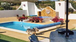 Ein Poolbereich mit einem Hund, Topfpflanzen und einem Stuhl.