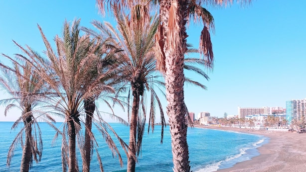 A beach with palm trees and a clear blue sky. - Minerva 1-bedroom, Close to the Beach, Park etc (Benalmádena)