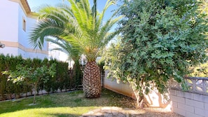 A garden with a palm tree, a bush, and a hedge. - Villa El Palmar 2 en Denia (Denia)