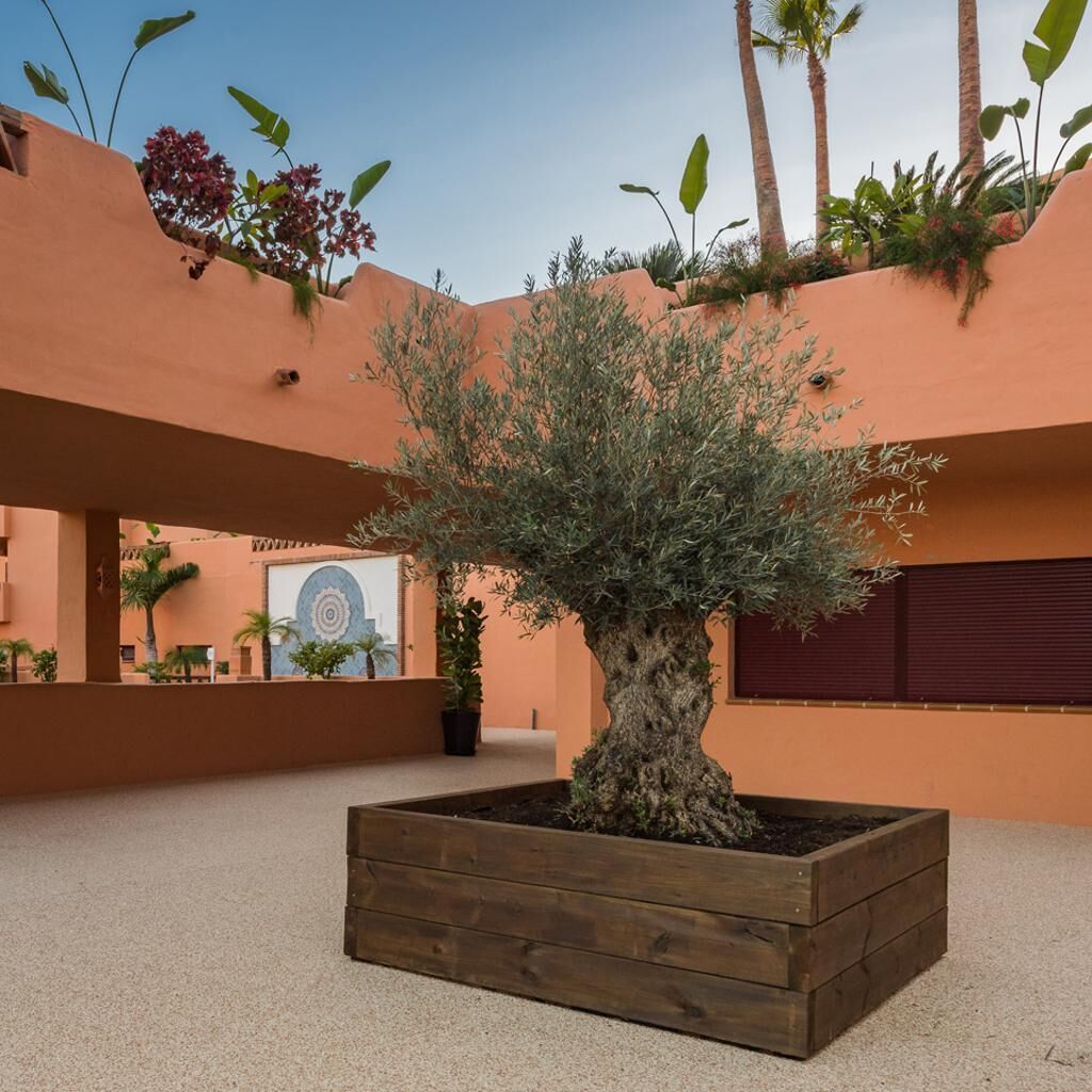 Apartament | Àrea exterior de l'allotjament