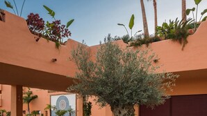 Un patio con una jardinera de madera en el centro, donde hay un árbol, rodeado por un muro bajo y diversas plantas.