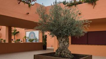 Apartament | Àrea exterior de l'allotjament