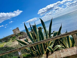 アパートメント | 外観の詳細