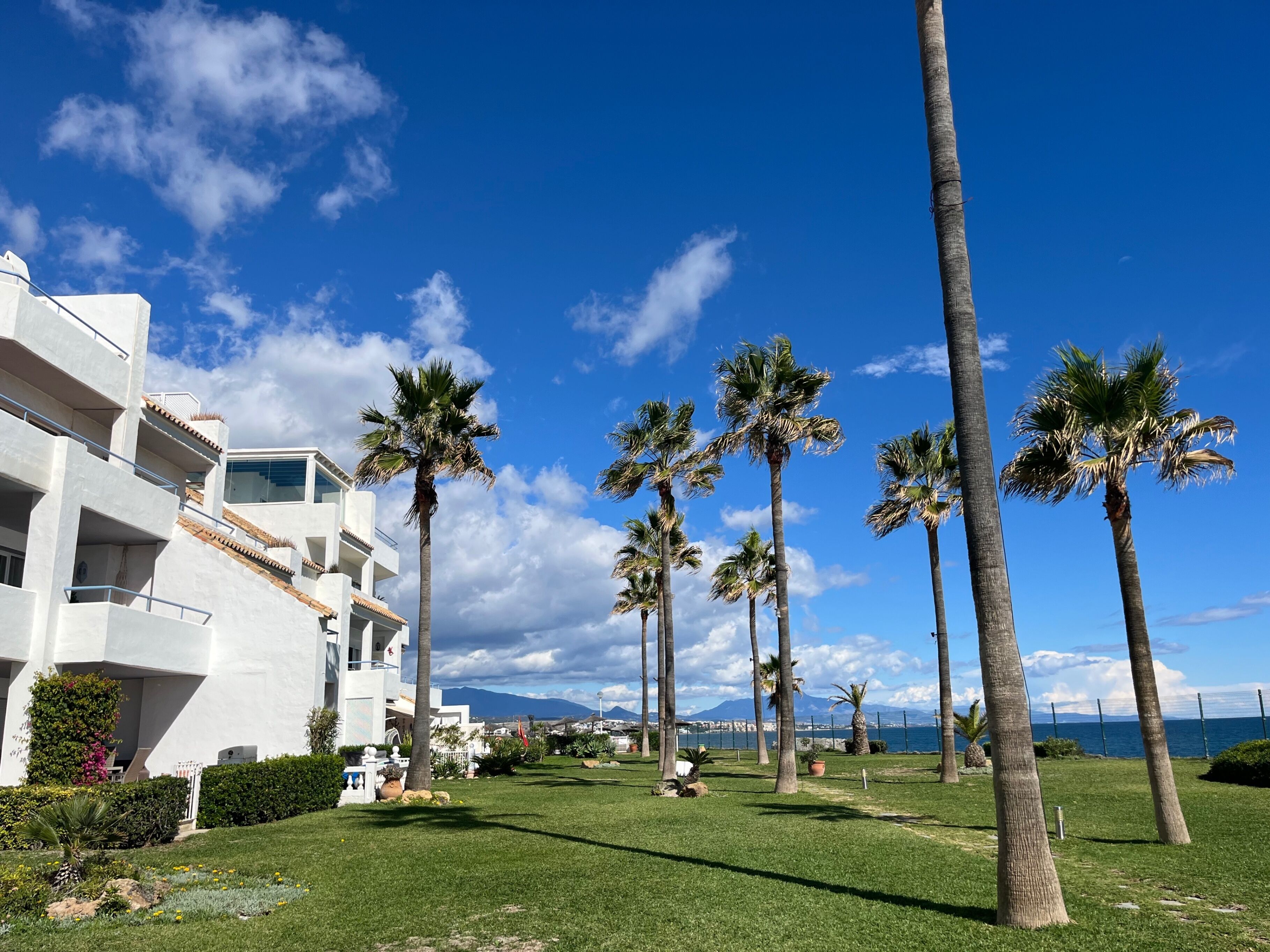 A modern hotel with a white facade, multiple balconies, and a well-maintained lawn with palm trees.