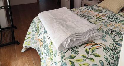 Andalusian Pool Parties, Music & Magic