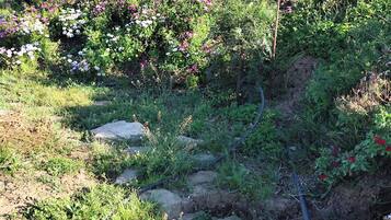 Villa | Property grounds