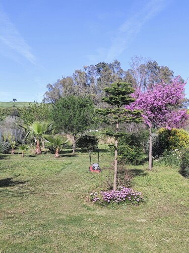Andalusian Pool Parties, Music & Magic