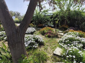 Villa | Áreas de la propiedad