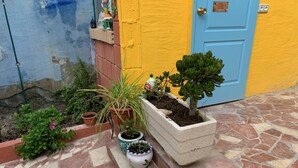 House | Exterior detail - Beautiful 3-bed Town House With Garden in Sax (Sax)