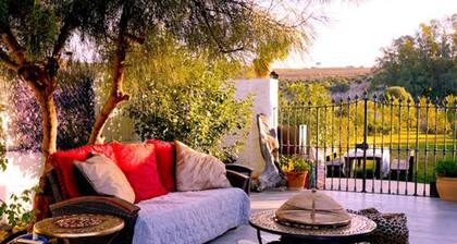 Runwild Hen Party Pool Fun for 12