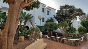 Un patio con pared de piedra, una banca y diversas plantas.