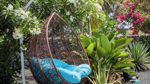 A hanging chair with a blue cushion in a garden with various plants and flowers. - Gorgeous Newly Renovated 4-bedroom Villa! (Yaiza)