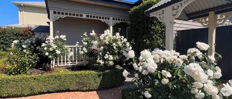 Overnattingsstedets uteområder