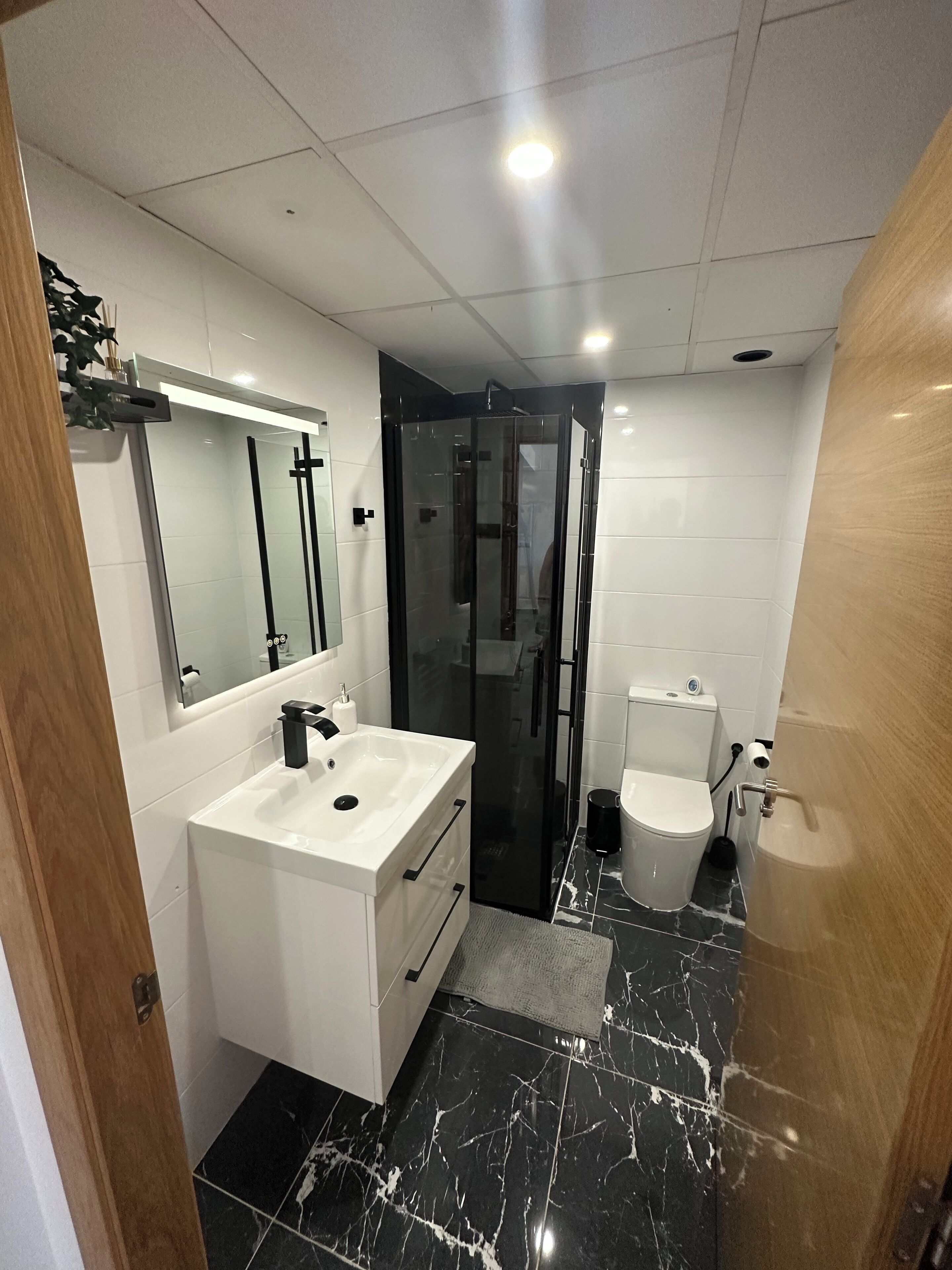 Apartment | Bathroom | Shower, hair dryer, towels, toilet paper