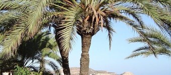 As019 A 2 Bedroom - in Calas del Pinar