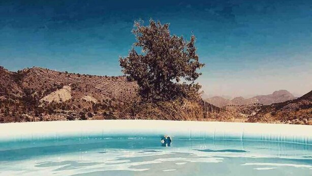 Une piscine aux eaux cristallines, entourée d’un paysage naturel, avec un arbre au centre.