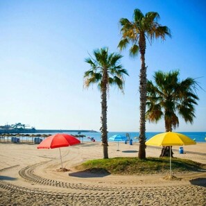 A sandy beach with palm trees and beach umbrellas. - Ellite Xiii Apartment Playa Naufragos Torrevieja! (Torrevieja)