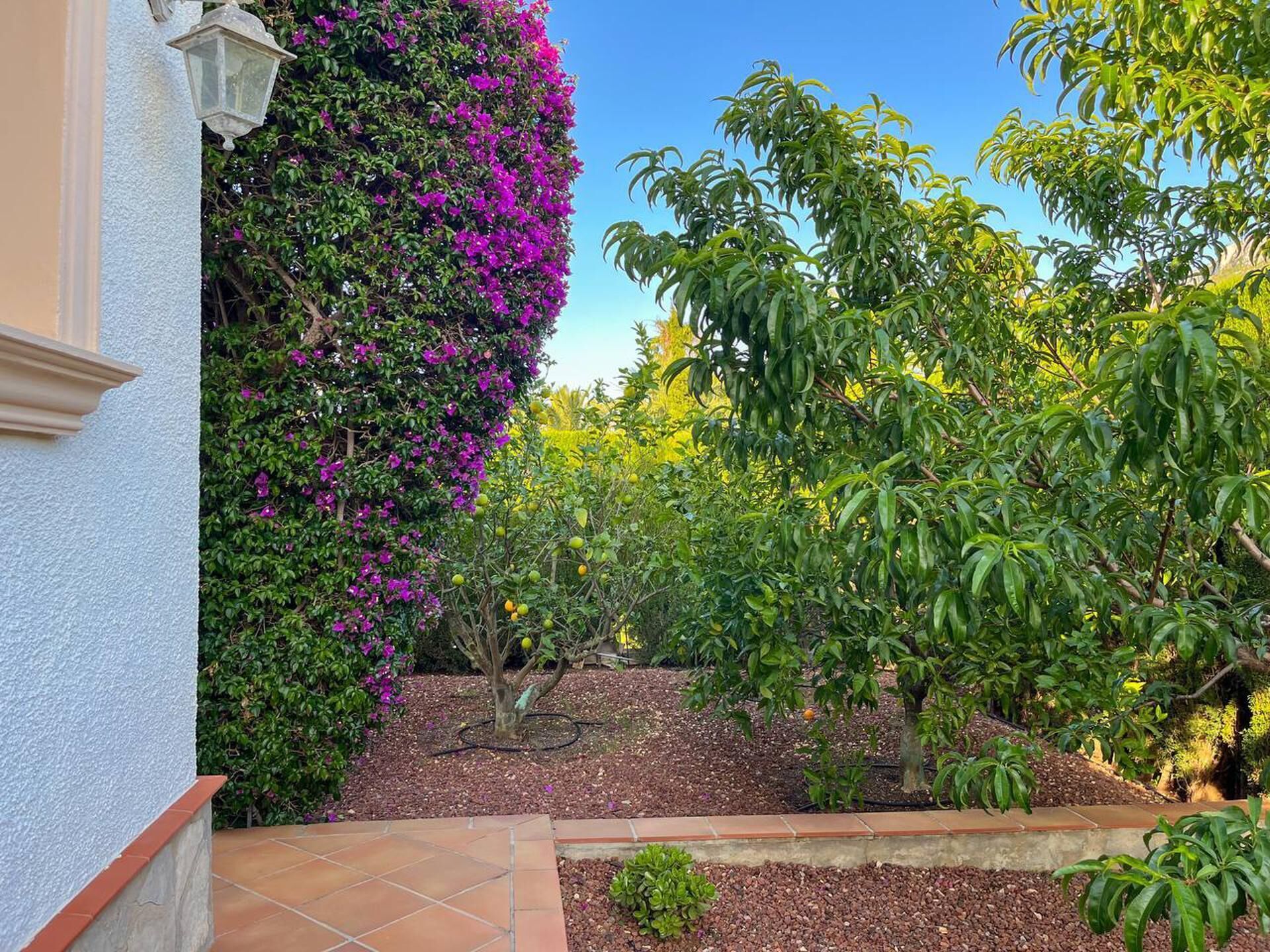 Photo - Villa El Sueno panoramico