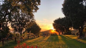 A grassy outdoor area with trees and a fence. - Aurora 2-bed Cottage - Sleeps 4 - Montseny Park (Arbucies)
