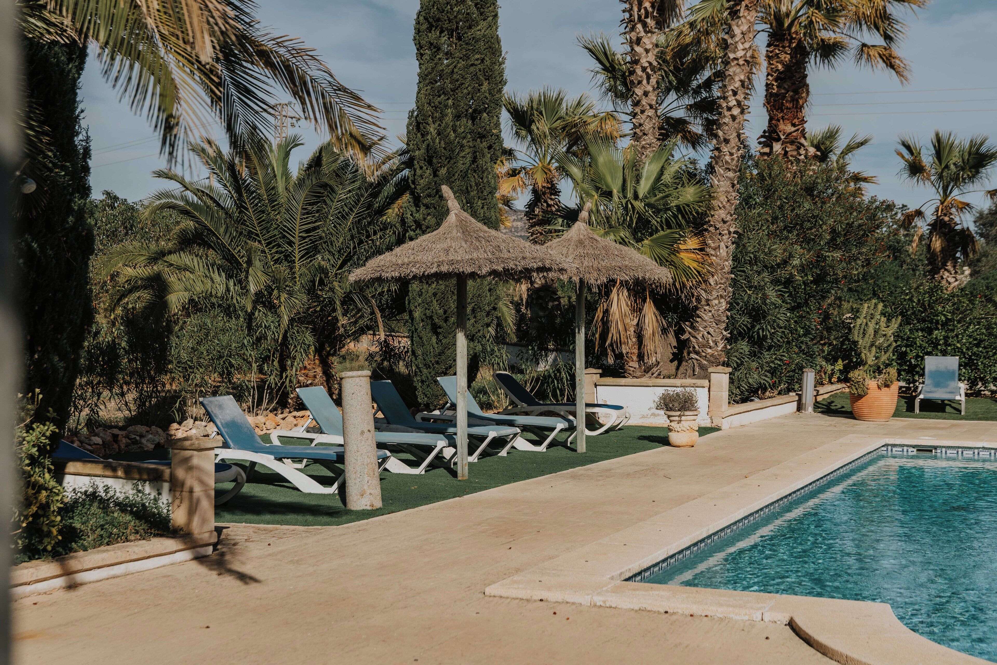Un espace piscine doté de chaises longues et de parasols en feuilles de palmier, entouré de palmiers et de verdure.