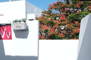 Property grounds - Loma Verde Puerto del Carmen (Tías)