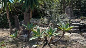 Villa | Jardines del alojamiento