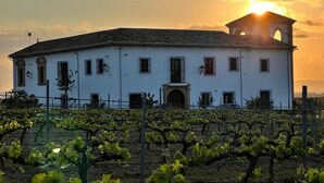 A white building with a bell tower, surrounded by vineyard rows. - Gorgeous new Stand Alone Cottage in Rural Malaga (Mollina)