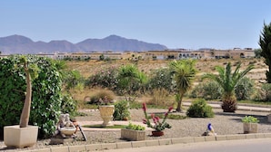 Ein gepflegter Garten mit verschiedenen Pflanzen und einer Statue, eine Straße im Vordergrund und eine Reihe von Gebäuden im Hintergrund.