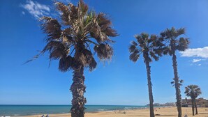 A beach with palm trees and a clear blue sky. - Lovely Apartment Near the Beach in Sunny La Mata (Torrevieja)