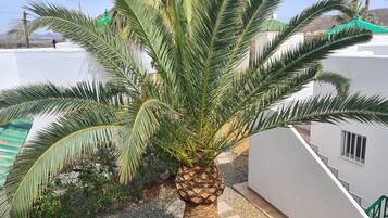 Villa | Property grounds