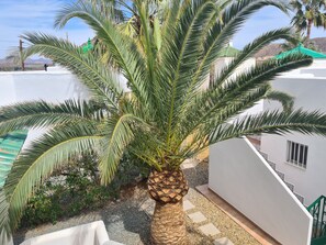 A palm tree in a courtyard with a white building and a green roof in the background. - Les Cactus Remarkable 7 bed Villa - Private Pool (Pulpi)