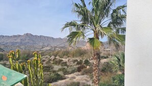 Un balcon offrant une vue sur un paysage désertique, avec des cactus et un palmier.