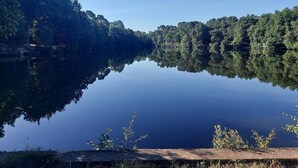 A calm lake with dense forest on both sides, reflecting the trees and sky. - A real homely home close to Gatwick and the South East of England. (Crawley)