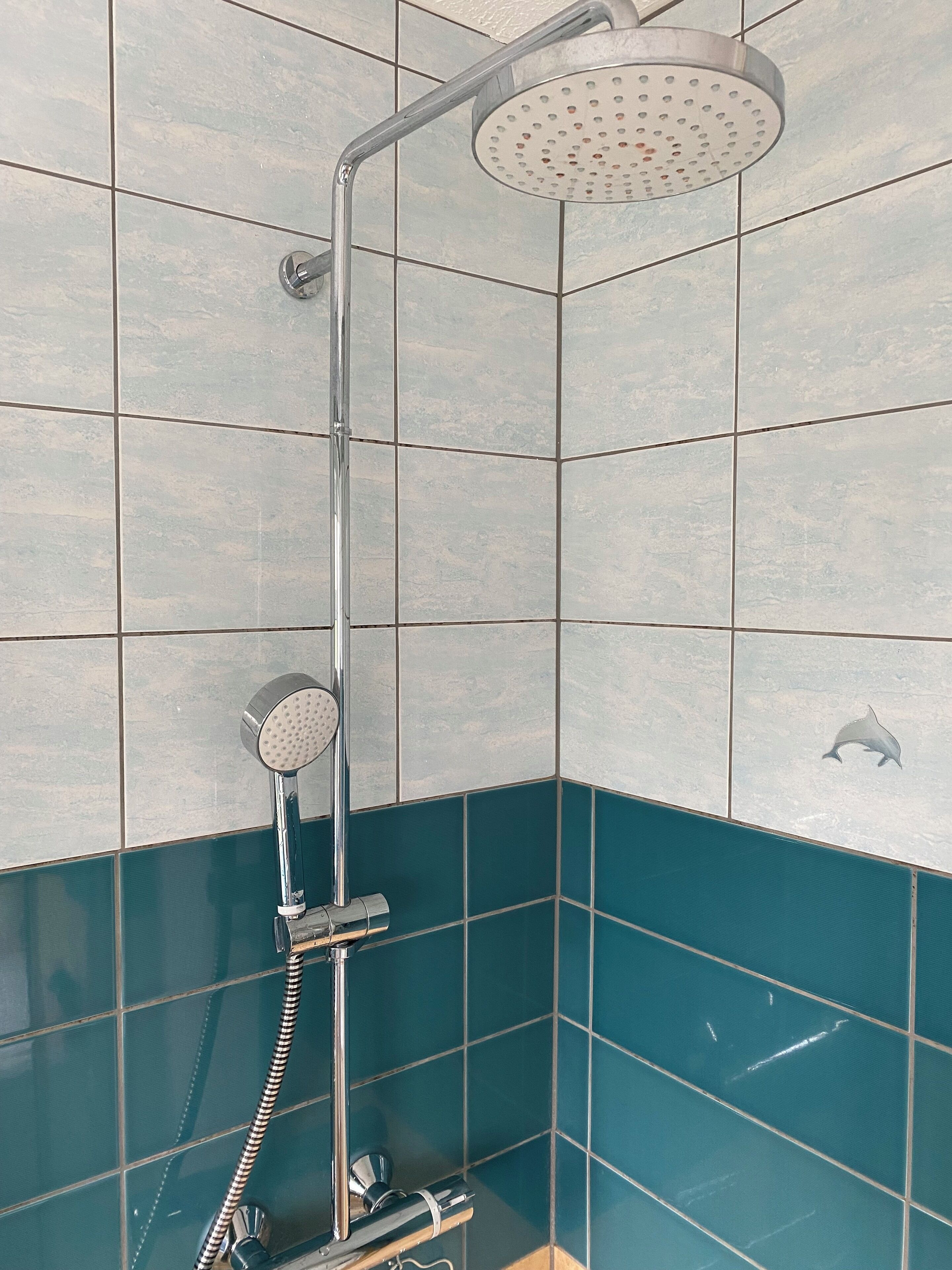 Een douche, een haardroger, handdoeken, zeep