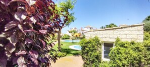 House | Property grounds - Spectacular 3 bed Townhouse for Summer Holiday (Ayamonte)