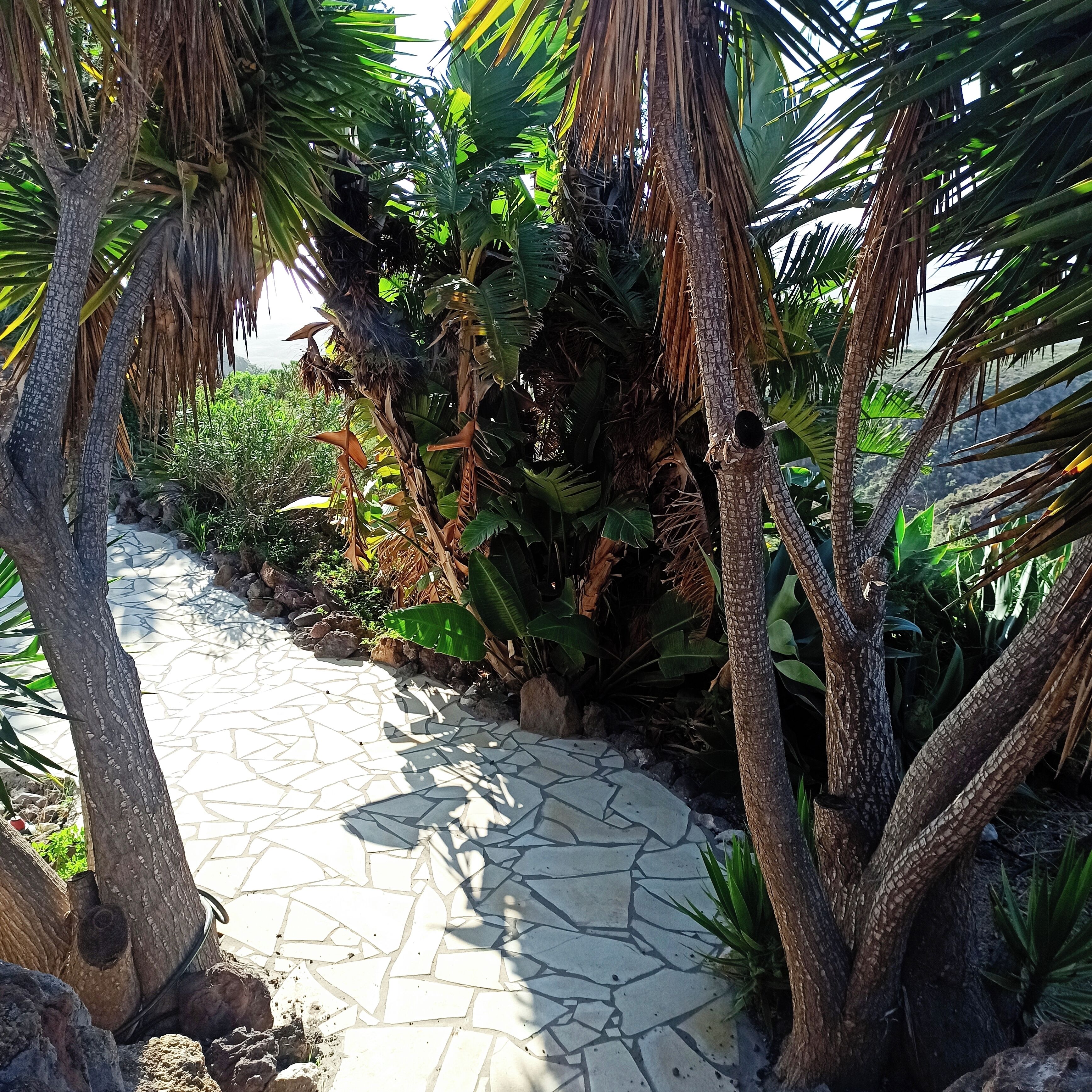 Appartement | Enceinte de l’hébergement