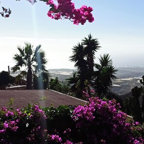 Apartamento | Jardines del alojamiento