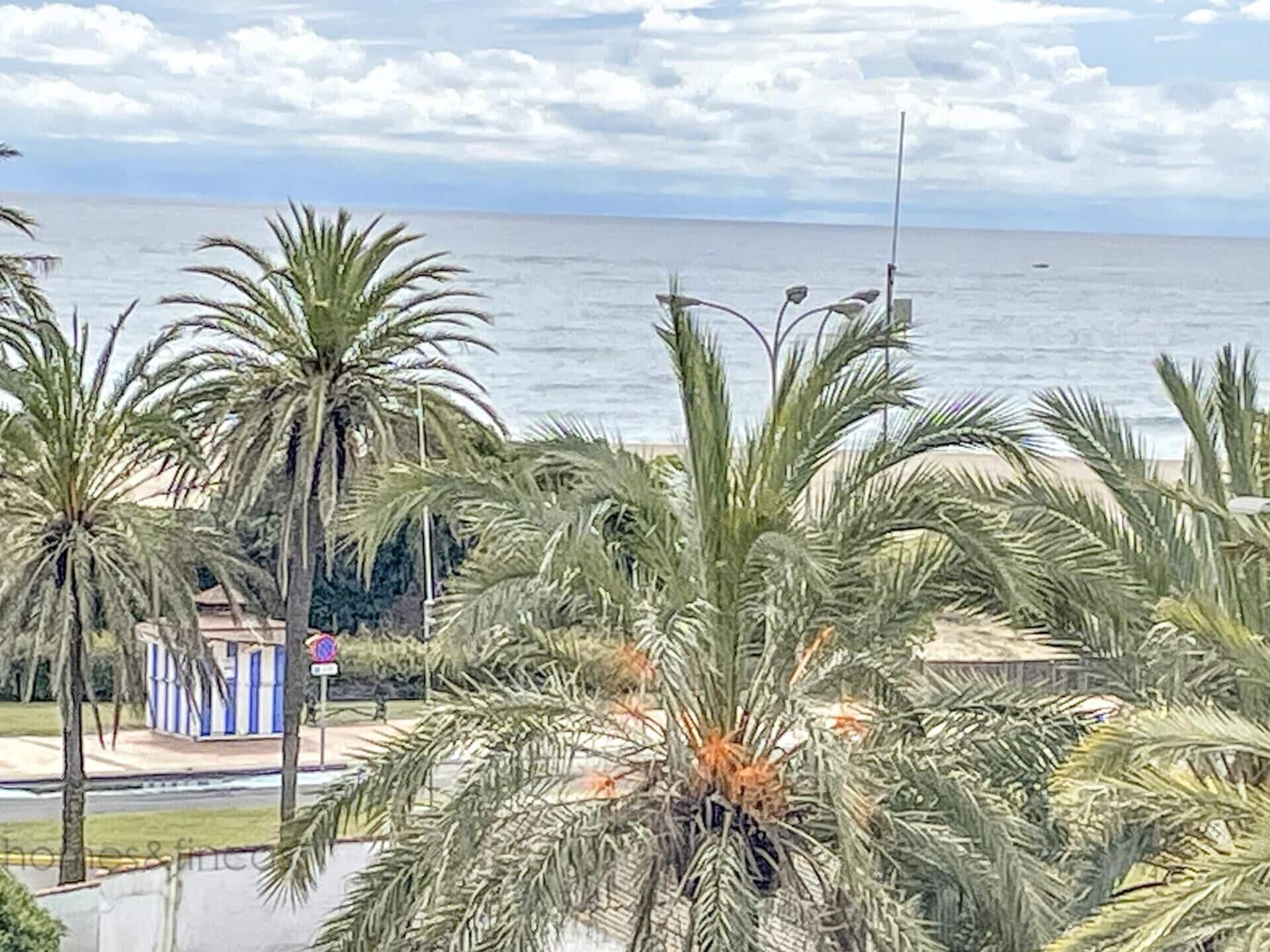 A coastal view with palm trees and a beach in the background.