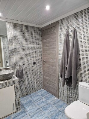 Apartment | Bathroom | Shower, towels, toilet paper