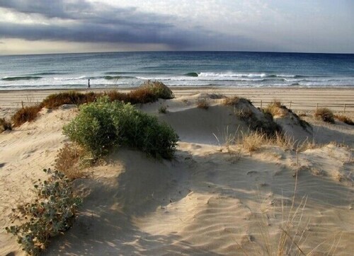 Holiday House 'El Recreo' in Torredembarra