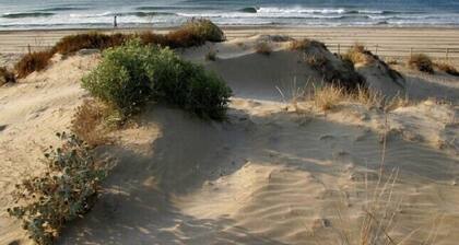 Holiday House 'El Recreo' in Torredembarra