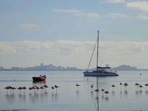 House | Bathroom | Shower, hair dryer, towels - Beachfront House,sea Views Near Historic Cartagena (Cartagena)